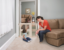 Load image into Gallery viewer, Lift Lock & Swing Gate (packs of 2)