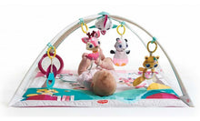 Load image into Gallery viewer, Deluxe Gymini - Tiny Princess Collection