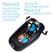 Load image into Gallery viewer, Coral XP Base