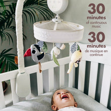 Load image into Gallery viewer, Boho Luxe Musical Mobile