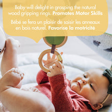 Load image into Gallery viewer, Boho Chic Luxe Developmental Gymini