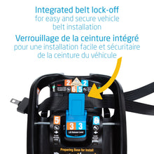 Load image into Gallery viewer, Coral XP Base