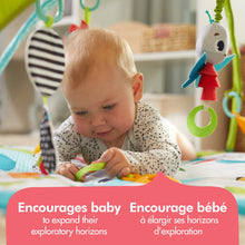 Load image into Gallery viewer, Meadow Days™ Gymini® Sunny Day