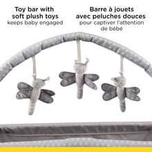 Load image into Gallery viewer, Amherst Playard - Stadust