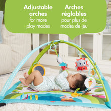 Load image into Gallery viewer, Meadow Days™ Gymini® Sunny Day