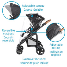 Load image into Gallery viewer, Coral XP x Lila CP