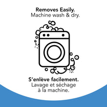 Load image into Gallery viewer, Scenera Next