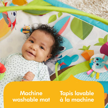 Load image into Gallery viewer, Meadow Days™ Gymini® Sunny Day