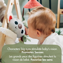 Load image into Gallery viewer, Boho Chic Luxe Developmental Gymini