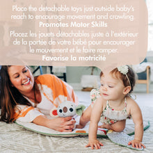 Load image into Gallery viewer, Boho Chic Luxe Developmental Gymini