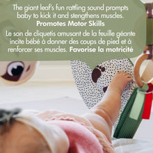 Load image into Gallery viewer, Boho Chic Luxe Developmental Gymini