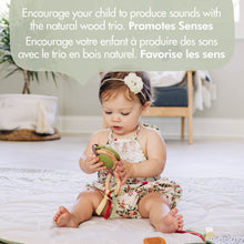 Load image into Gallery viewer, Boho Chic Luxe Developmental Gymini