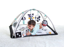 Load image into Gallery viewer, Magical Tales Black & White Gymini