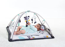 Load image into Gallery viewer, Magical Tales Black & White Gymini