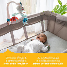 Load image into Gallery viewer, Treasure the Ocean 3-in-1 Take Along Mobile