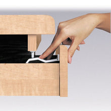 Charger l'image dans la galerie, Antivols doubles - pack de 3