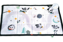 Load image into Gallery viewer, Magical Tales Black & White Supermat