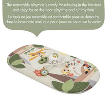 Load image into Gallery viewer, Boho Chic 2-in-1 Take Along Deluxe Bassinet