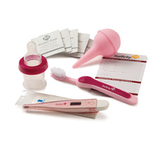 Load image into Gallery viewer, Deluxe Health and Grooming Kit Pink
